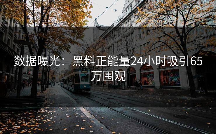 数据曝光：黑料正能量24小时吸引65万围观