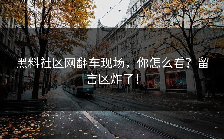 黑料社区网翻车现场，你怎么看？留言区炸了！