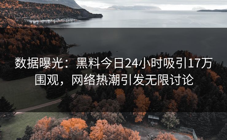数据曝光：黑料今日24小时吸引17万围观，网络热潮引发无限讨论