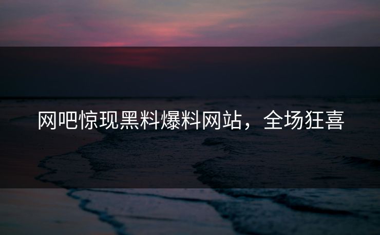 网吧惊现黑料爆料网站,全场狂喜