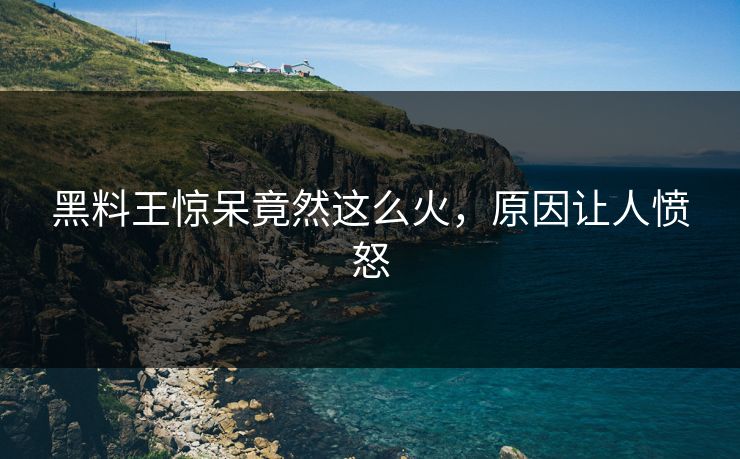 黑料王惊呆竟然这么火，原因让人愤怒