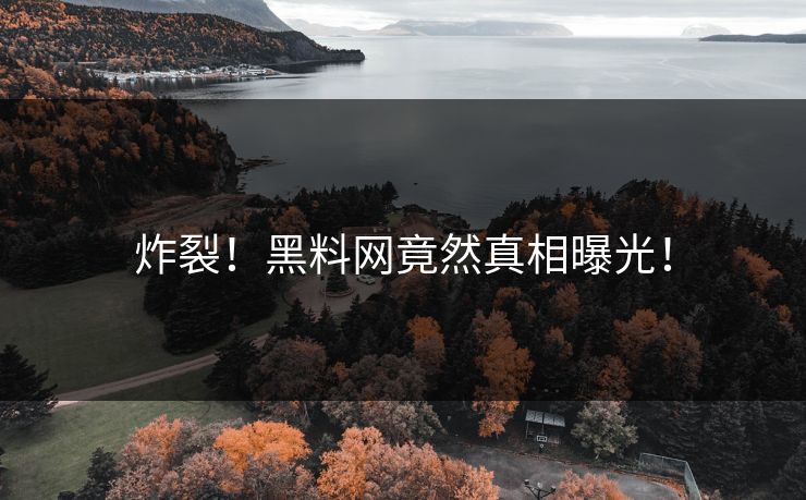 炸裂！黑料网竟然真相曝光！