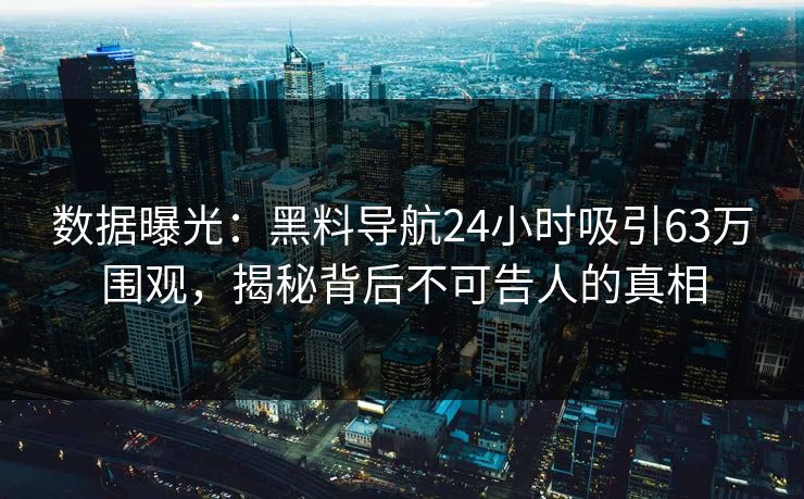 数据曝光：黑料导航24小时吸引63万围观，揭秘背后不可告人的真相