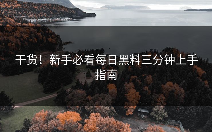干货！新手必看每日黑料三分钟上手指南