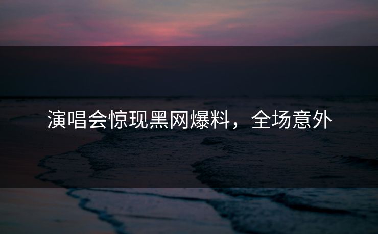 演唱会惊现黑网爆料，全场意外
