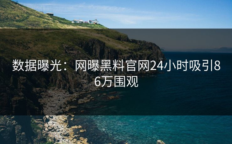 数据曝光：网曝黑料官网24小时吸引86万围观