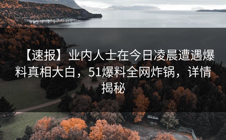【速报】业内人士在今日凌晨遭遇爆料真相大白，51爆料全网炸锅，详情揭秘