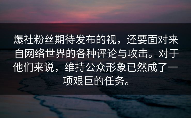 爆社粉丝期待发布的视，还要面对来自网络世界的各种评论与攻击。对于他们来说，维持公众形象已然成了一项艰巨的任务。