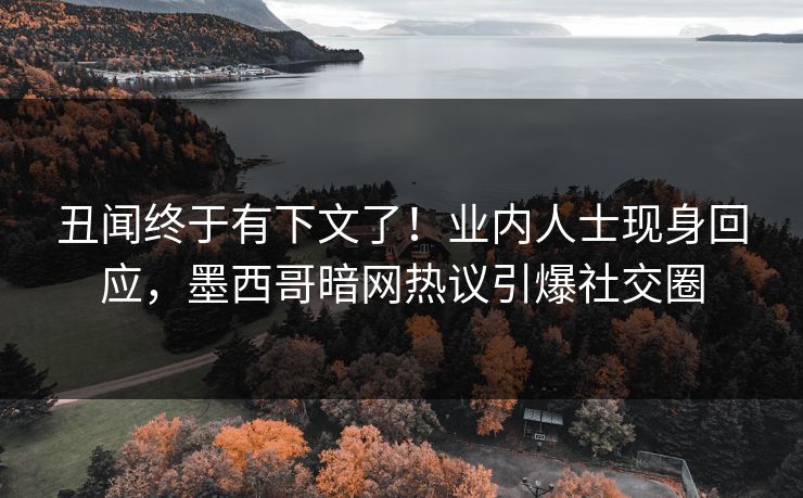 丑闻终于有下文了！业内人士现身回应，墨西哥暗网热议引爆社交圈